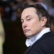 Imagen para el artículo titulado Elon Musk dice que la compra de Twitter "no seguirá adelante" hasta que se demuestre que el 95% de sus usuarios son reales